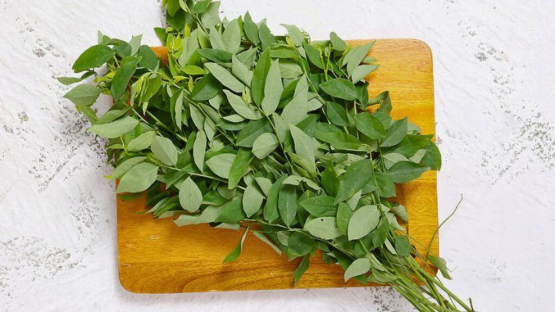 Bệnh tiểu đường có ảnh hưởng đến chế độ ăn uống hàng ngày. Vậy, liệu người mắc bệnh tiểu đường có thể ăn rau ngót mà không gây hại? Cùng tìm câu trả lời.