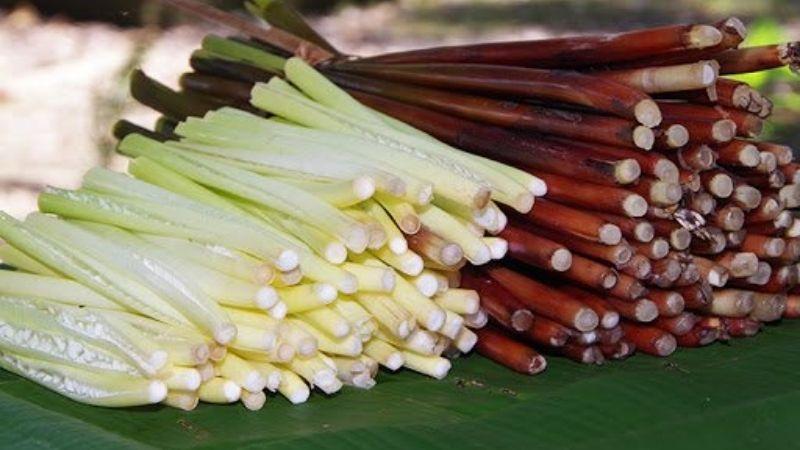 Cây năng (hay còn gọi là năn bộp) là gì? Cùng khám phá những món ăn độc đáo từ năn bộp nhé!