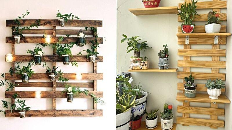 7 cách trang trí cây cảnh treo tường độc đáo, làm mới không gian sống