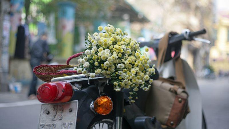 Khám phá hơn 20 bài thơ lãng mạn, ý nghĩa về mùa đông Hà Nội, nơi những vần thơ truyền tải vẻ đẹp mộng mơ và ấn tượng của mùa này.