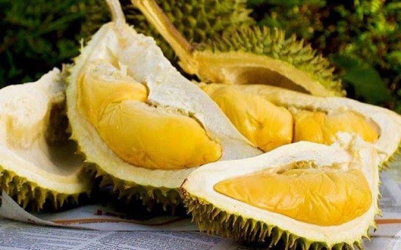 Sầu riêng không nên ăn cùng những món gì? Khám phá 8 thực phẩm cần tránh kết hợp với sầu riêng để bảo vệ sức khỏe của bạn.