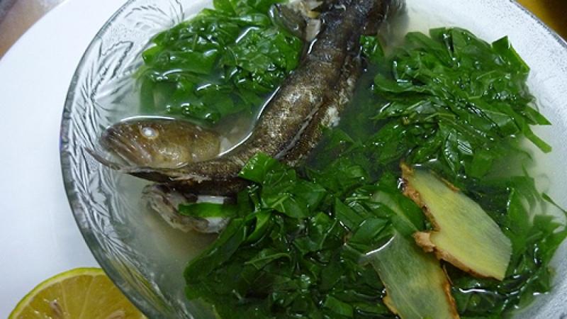Khám phá ngay món canh cá bớp nấu lá lốt đầy dưỡng chất, vừa ấm bụng lại thơm ngon, bổ dưỡng cho sức khỏe.