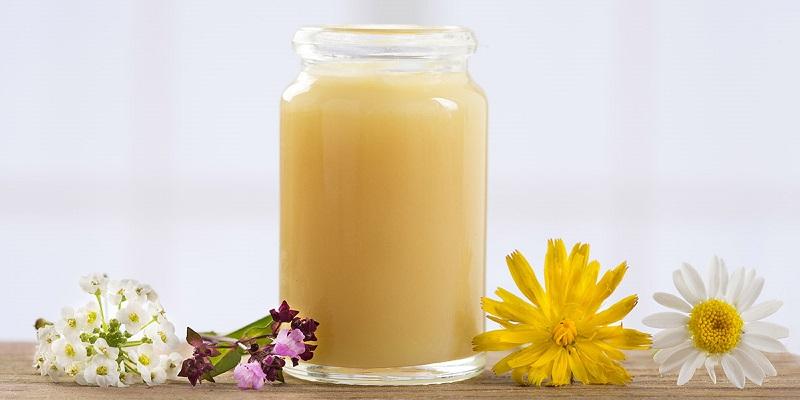 Lợi ích tuyệt vời từ sữa ong chúa cho bé yêu