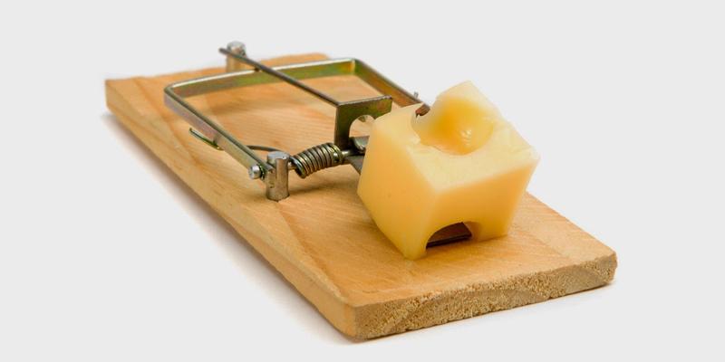 Hướng dẫn sử dụng bẫy chuột hình chữ nhật hiệu quả