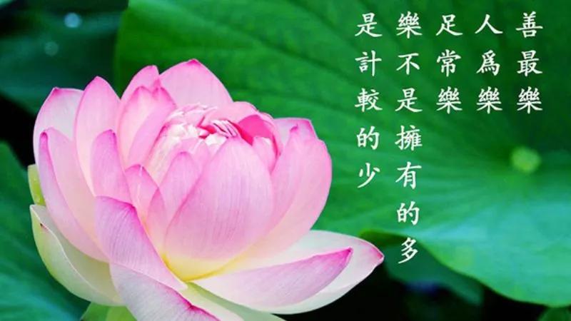 Tiết Hạ Chí 2023 sẽ rơi vào ngày nào? Khám phá ý nghĩa sâu sắc của tiết Hạ Chí.