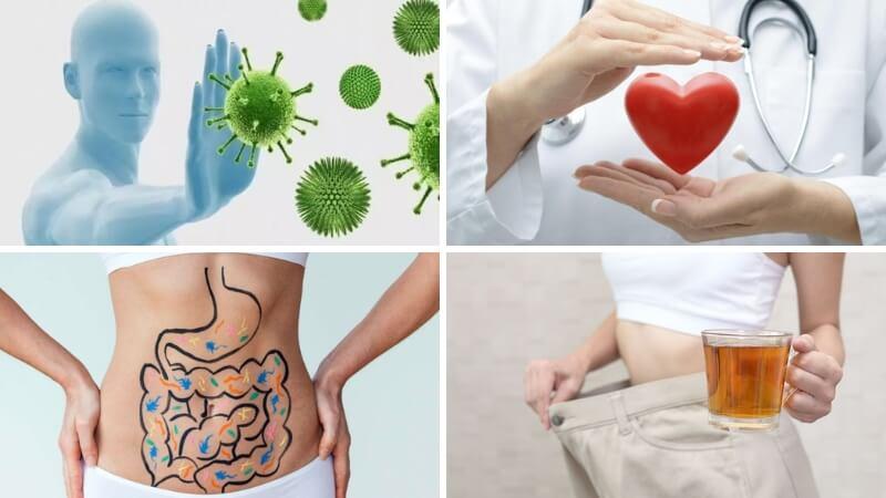 Khám phá công dụng tuyệt vời của trà mãng cầu xiêm và cách chế biến đơn giản tại nhà để tận hưởng những lợi ích sức khỏe tuyệt vời.