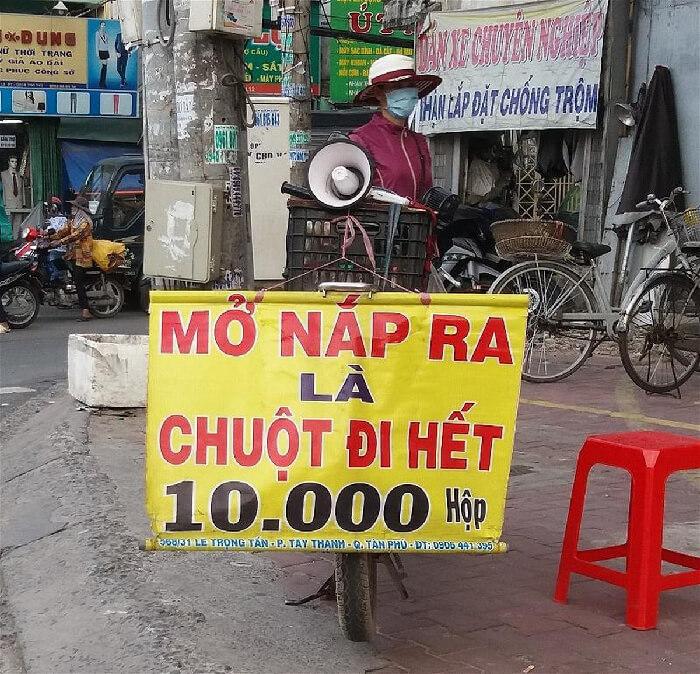 Liệu câu nói 'Mở nắp ra chuột đi hết' có thực sự đúng, và đâu mới là cách đuổi chuột hiệu quả nhất?