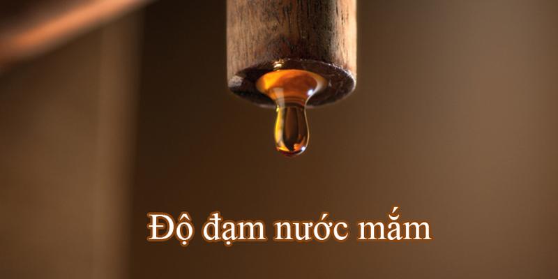 Cách nhận diện nước mắm qua chỉ số đạm