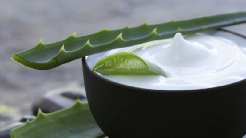 Khám phá cách làm sữa chua nha đam ngon lành, mát lạnh ngay tại nhà, giúp giải nhiệt hiệu quả trong những ngày hè oi ả