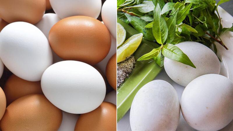 Trứng gà và trứng vịt lộn, loại nào mang lại nhiều dưỡng chất hơn?