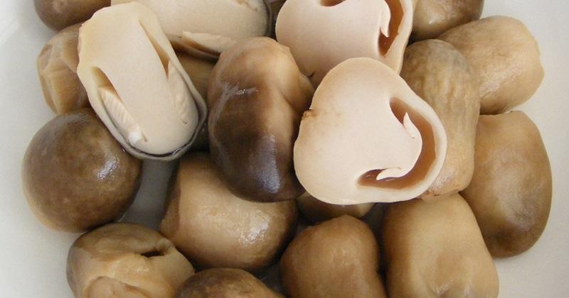 Những lưu ý quan trọng khi chế biến nấm rơm