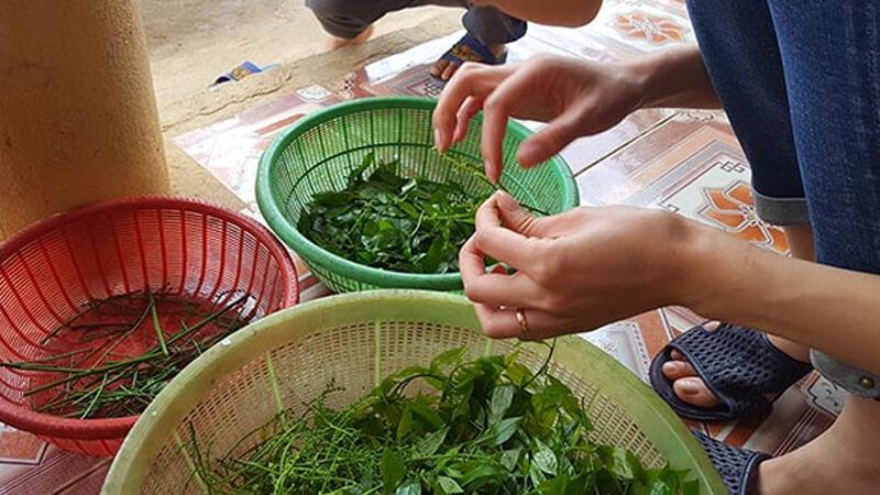 Cách nhặt rau ngót nhanh và đơn giản, ai cũng có thể làm được