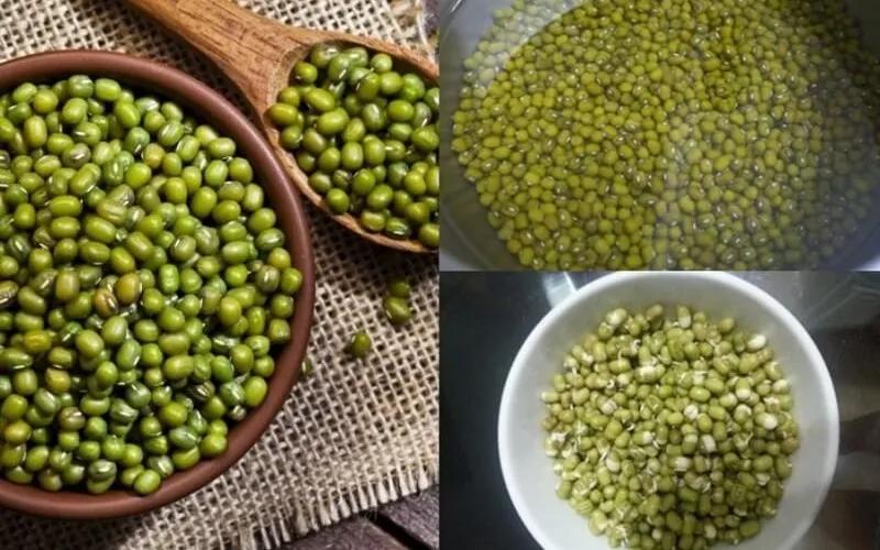Khám phá phương pháp làm giá đỗ tại nhà bằng cốc nhựa – vừa dễ làm, lại vừa an toàn cho sức khỏe!