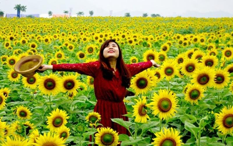 Khám phá ngay 5 địa điểm du lịch nổi bật ở Thái Hoà, Nghệ An – một hành trình tuyệt vời dành cho những ai mới bắt đầu khám phá vùng đất này.