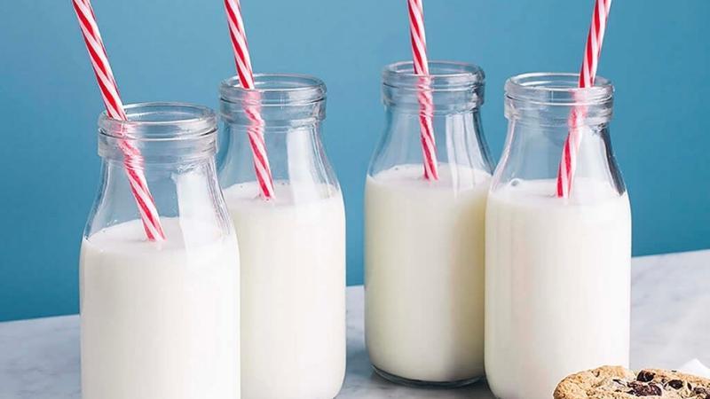 Một ly sữa tươi chứa bao nhiêu calo? Liệu sữa tươi có làm bạn tăng cân không?