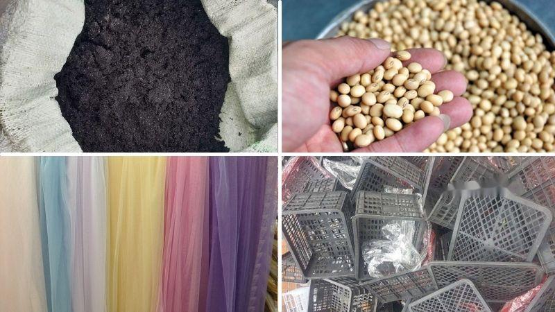 Cách làm mầm đậu nành tại nhà đơn giản và hiệu quả