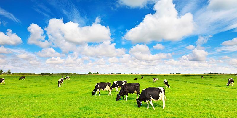 4 điều cần lưu ý khi trẻ ngủ chung với ba mẹ để bé có giấc ngủ sâu và khỏe mạnh