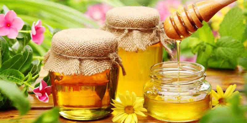 7 phương pháp phân biệt mật ong rừng và mật ong nuôi chính xác nhất