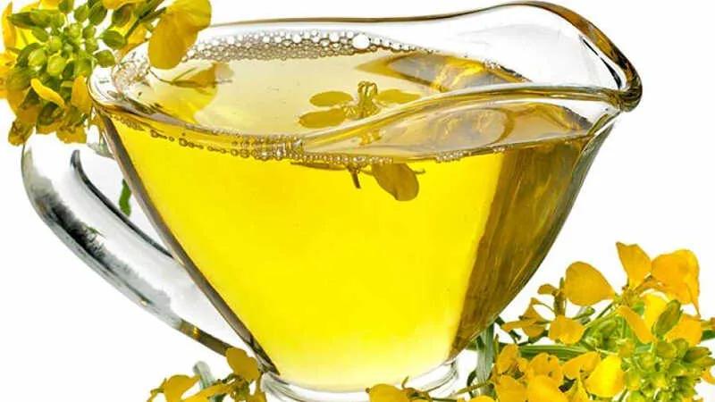 Dầu hạt cải - Một món quà tuyệt vời từ thiên nhiên