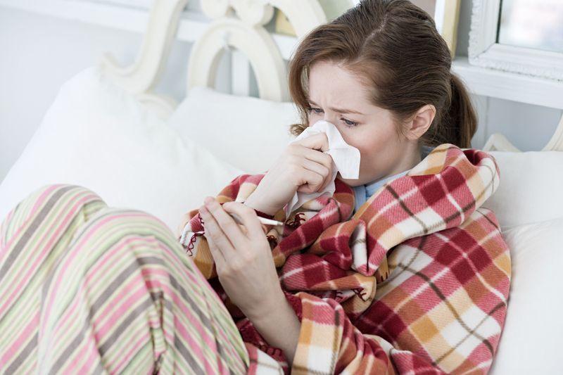 Công thức nấu gà tiềm thuốc bắc ngon, bổ dưỡng và dễ làm ngay tại nhà