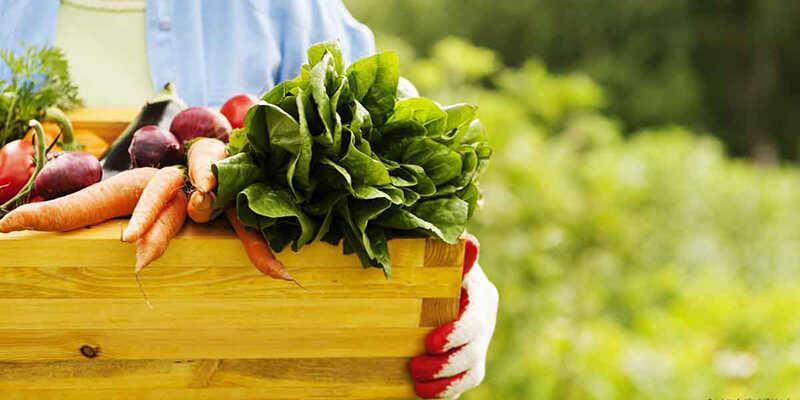 Sự khác biệt giữa thực phẩm tự nhiên và thực phẩm hữu cơ là một chủ đề được nhiều người quan tâm, đặc biệt trong bối cảnh sức khỏe ngày càng được chú trọng. Hãy cùng tìm hiểu rõ hơn về sự phân biệt này để có những lựa chọn thực phẩm thông minh và an toàn.