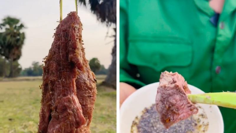 Mặc dù những món ăn từ kiến vàng có thể khiến bạn ngỡ ngàng, nhưng khi đã thưởng thức, hương vị của chúng sẽ khiến bạn khó lòng quên.
