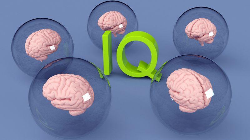 Hơn 60 câu đố IQ thú vị dành cho trẻ em, giúp phát triển trí thông minh theo từng độ tuổi, rèn luyện tư duy logic từ nhỏ.