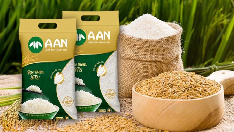 Gạo ST21, ST24, ST25 là những loại gạo nổi bật từ vùng đất Sóc Trăng. Vậy đâu là loại gạo mang đến hương vị đặc trưng và sự khác biệt rõ rệt nhất? Cùng tìm hiểu về các loại gạo này để khám phá sự hấp dẫn ẩn chứa trong từng hạt gạo.