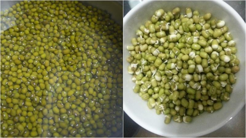 Hướng dẫn trồng giá đỗ từ bao gạo, chỉ trong vòng hai ngày hai đêm, bạn sẽ có ngay những mầm giá đỗ tươi ngon để thưởng thức.