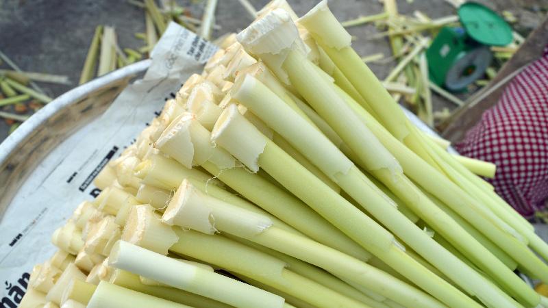 Hướng dẫn làm dưa bồn bồn giòn ngon, chua thanh hấp dẫn