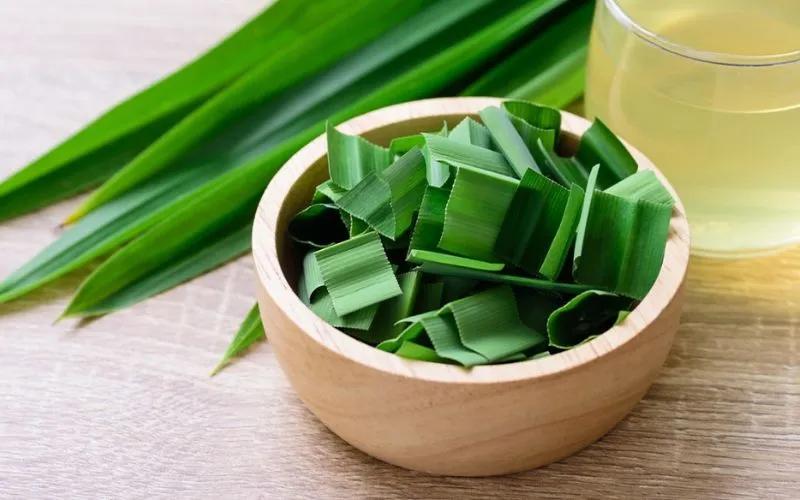Bệnh tiểu đường nên sử dụng những loại lá cây nào? Dưới đây là một số lá cây có khả năng hỗ trợ điều trị tiểu đường mà bạn không thể bỏ qua.