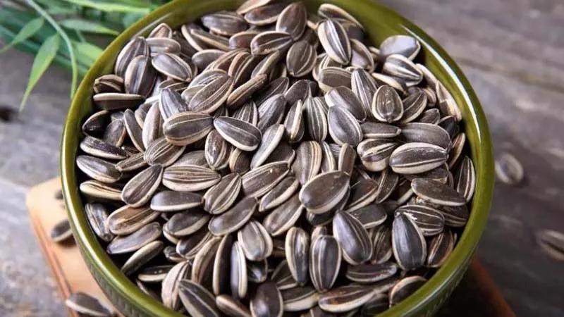 Lượng calo trong 100g hạt hướng dương là bao nhiêu? Và liệu việc ăn hạt hướng dương có thể khiến bạn tăng cân?