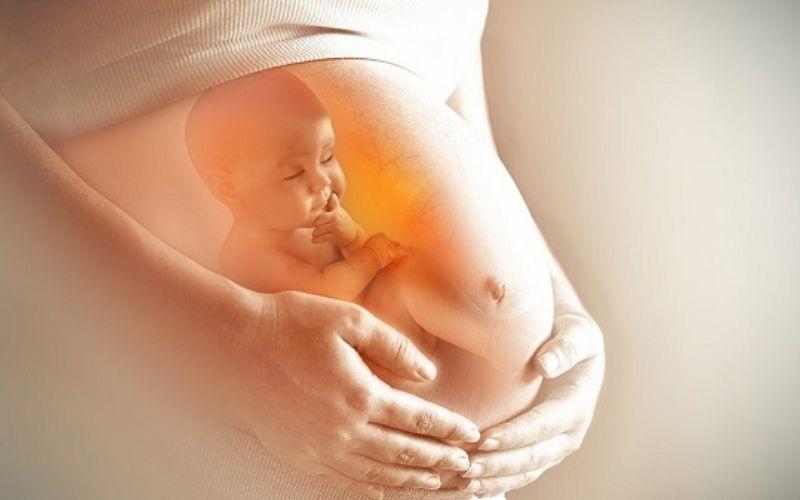 Bà bầu có nên ăn mực? Những điều cần lưu ý khi ăn mực