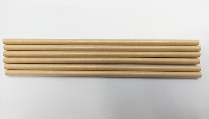 Khám phá các loại ống hút bảo vệ môi trường, cùng những ưu và nhược điểm của từng loại