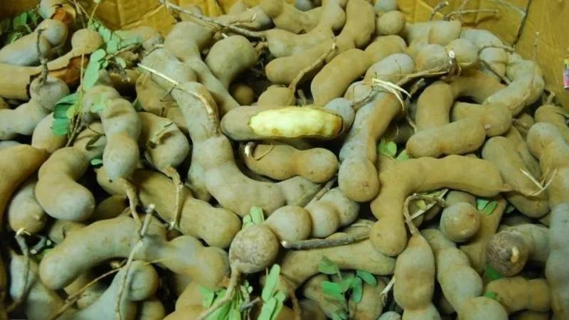 Hướng dẫn làm mứt me nguyên trái chua ngọt thơm ngon cho Tết