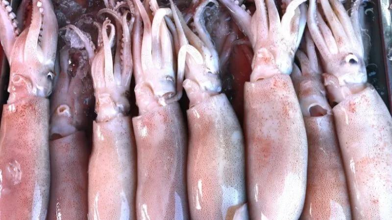 100g mực chứa bao nhiêu calo? Ăn mực có gây tăng cân không?