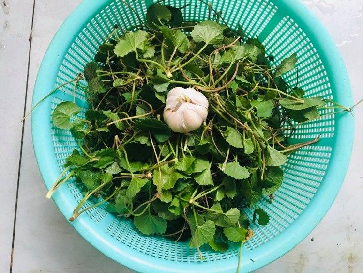 Hướng dẫn làm rau má xào tỏi thơm ngon đậm đà