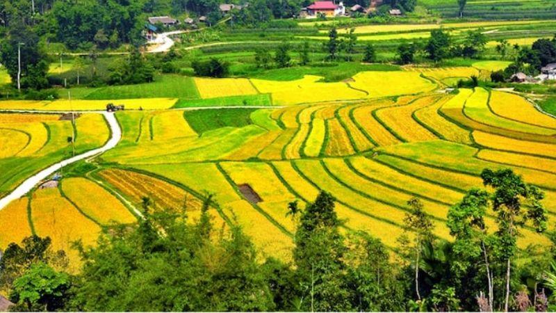 Khám phá Chiêm Hoá (Tuyên Quang): 4 điểm du lịch không thể bỏ lỡ