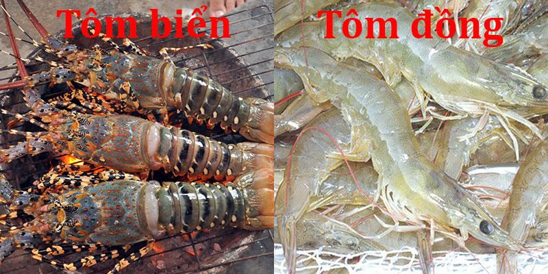 Tôm biển và tôm đồng, mỗi loại đều mang lại những giá trị dinh dưỡng tuyệt vời, nhưng chúng lại có những sự khác biệt rõ rệt. Vậy, sự phân biệt này cụ thể như thế nào? Hãy cùng khám phá ngay!
