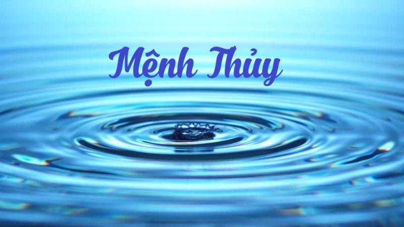 Nhâm Tuất 1982 thuộc mệnh Thủy. Tuổi này có những sự tương hợp đặc biệt với mệnh Kim và những gam màu như trắng, xanh biển, đen sẽ mang lại vận may cho họ.