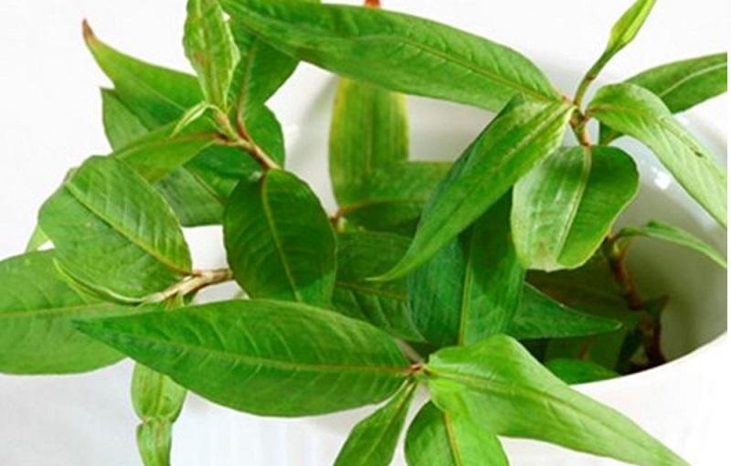 5 loại mặt nạ tự nhiên giúp thu nhỏ lỗ chân lông hiệu quả