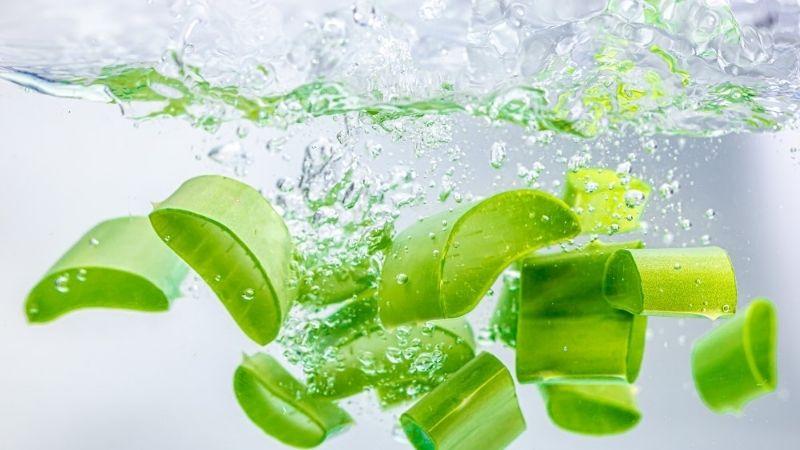 Bí quyết chọn nha đam tươi ngon, an toàn, không ngâm hóa chất