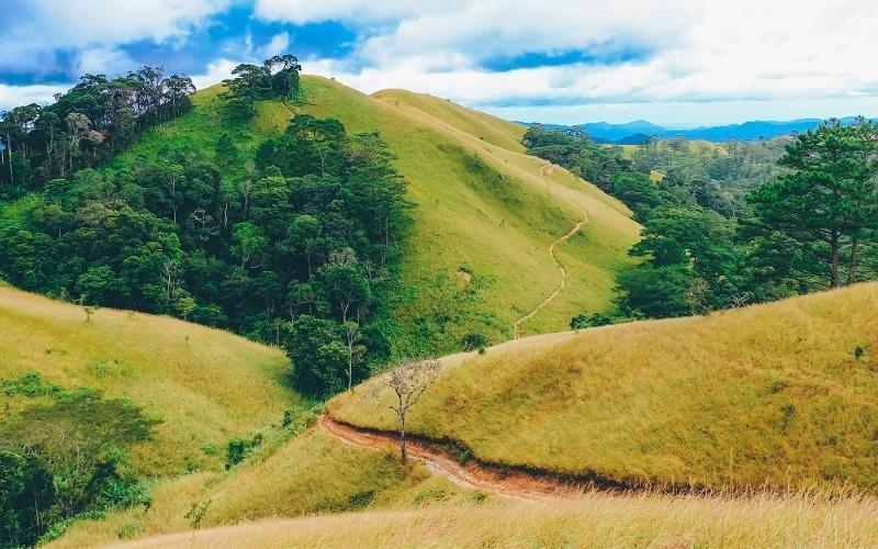 10 cung đường trekking đẹp nhất ở Việt Nam mà bạn không thể bỏ qua