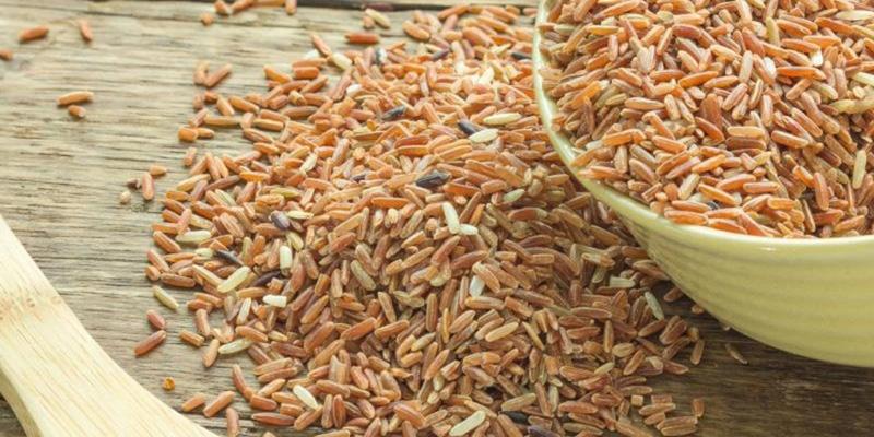 Gạo lứt mang lại nhiều lợi ích cho sức khỏe, nhưng không phải ai cũng phù hợp với loại gạo này. Việc tiêu thụ gạo lứt cần được cân nhắc kỹ lưỡng để đảm bảo hiệu quả tối ưu.