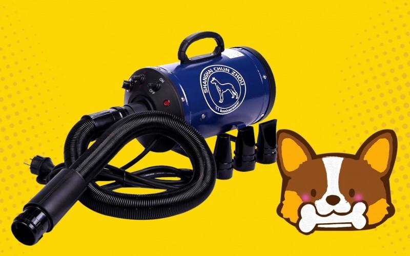 Top 5 máy sấy lông chó hàng đầu hiện nay