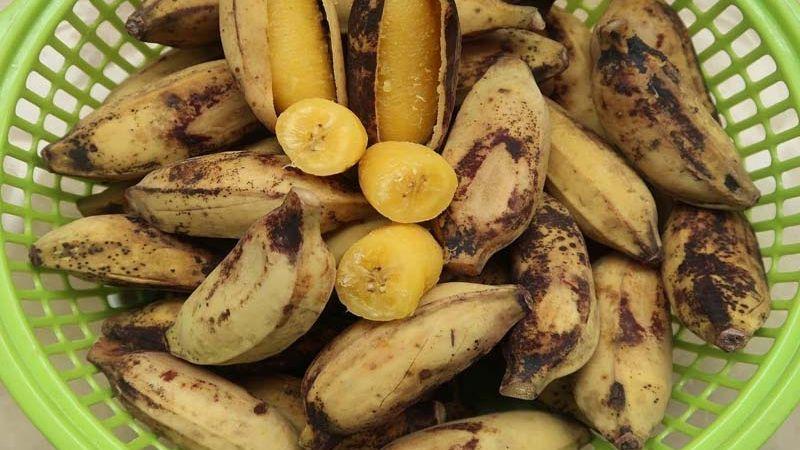 Khám phá 5 loại trái cây khi chế biến chín sẽ mang lại lợi ích tuyệt vời cho làn da và sức khỏe của bạn.