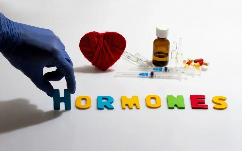 Hormone hạnh phúc là gì và làm sao để tăng cường 5 loại hormone này để có cuộc sống tích cực hơn? Hãy cùng khám phá!