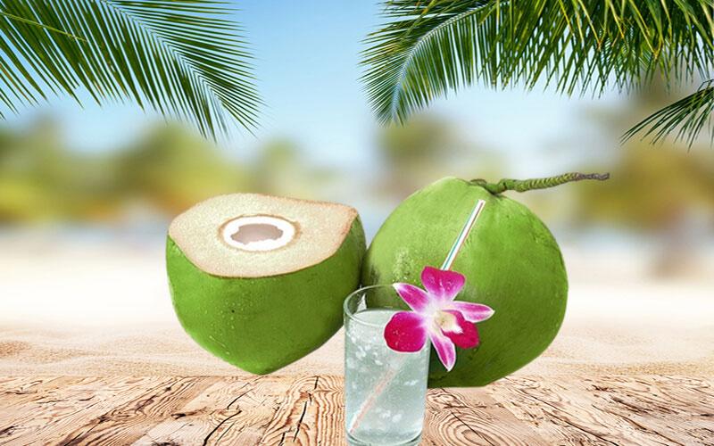 Dừa dứa là gì và tại sao lại mang tên gọi này? Đây là câu hỏi mà nhiều người vẫn luôn tò mò. Hãy cùng khám phá sự thú vị đằng sau tên gọi này.