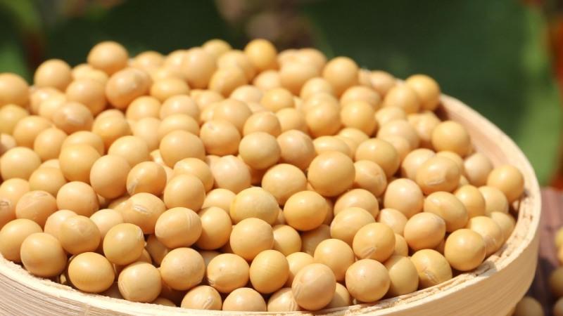 Isoflavone (chiết xuất đậu nành) là một thành phần tự nhiên được chiết xuất từ đậu nành, mang lại nhiều lợi ích cho sắc đẹp. Tác dụng của Isoflavone không chỉ giúp làm đẹp da mà còn hỗ trợ duy trì vẻ tươi trẻ, chống lão hóa hiệu quả.