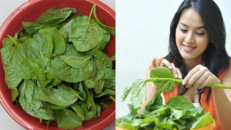 Bí quyết để chế biến rau mồng tơi mà không bị nhớt khi nấu